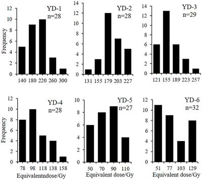 Evolution process of the Yinduba paleolandslide-dammed lake in the upper Jinsha River, SE Tibetan Plateau